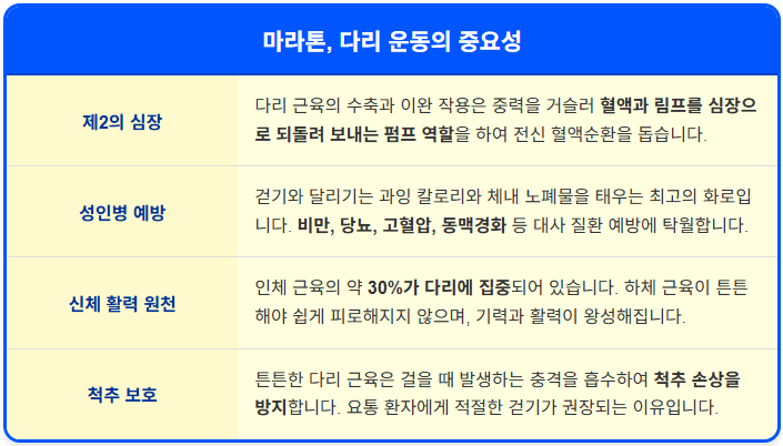 마라톤, 다리 운동의 중요성 1