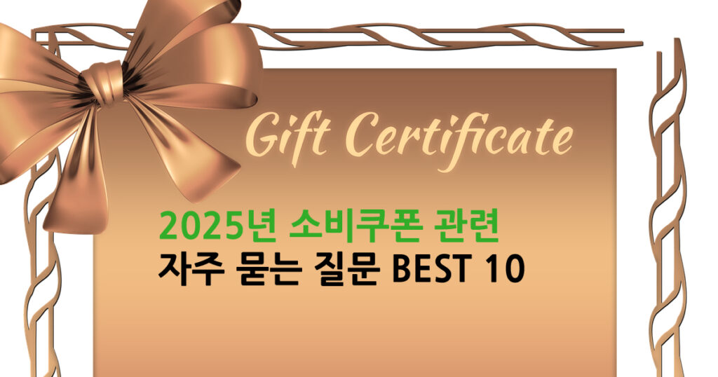 소비쿠폰 관련 자주 묻는 질문 BEST 10