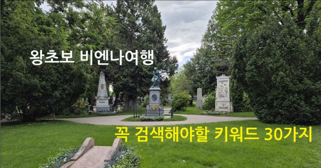 왕초보비엔나검색정보