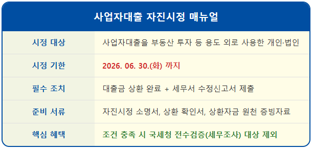 사업자대출로 아파트 샀다면? 국세청 자진시정 서류 1