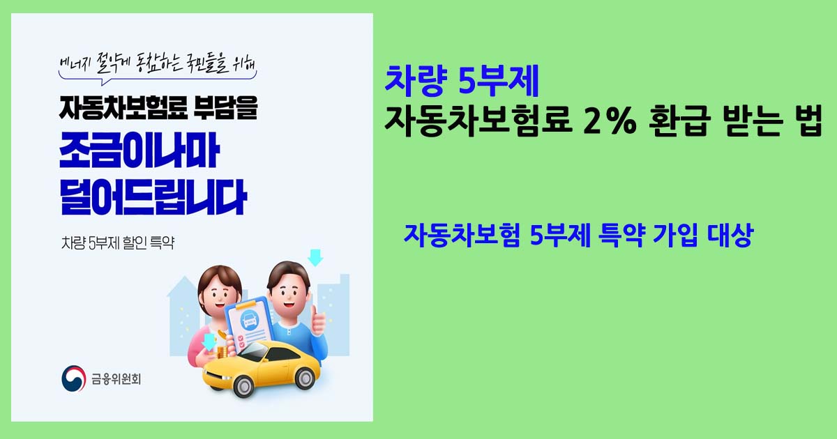 차량5부제자동차보험료할인