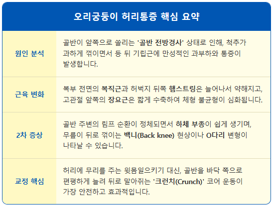 오리궁둥이 만성 허리 통증 생기는 이유 1