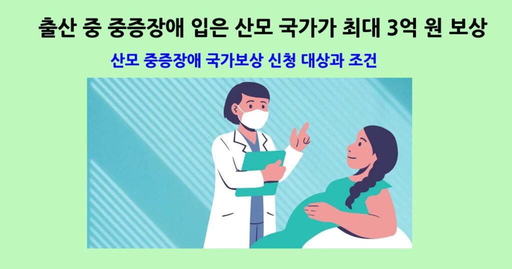 산모 중증장애 국가보상
