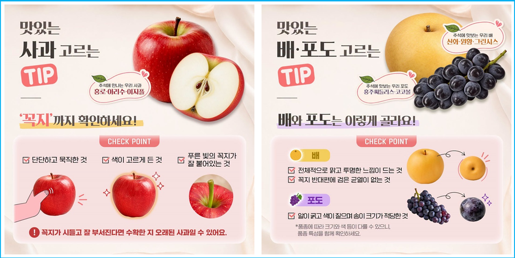 추석 장보기 실패 없는 사과·배 고르는 법 2